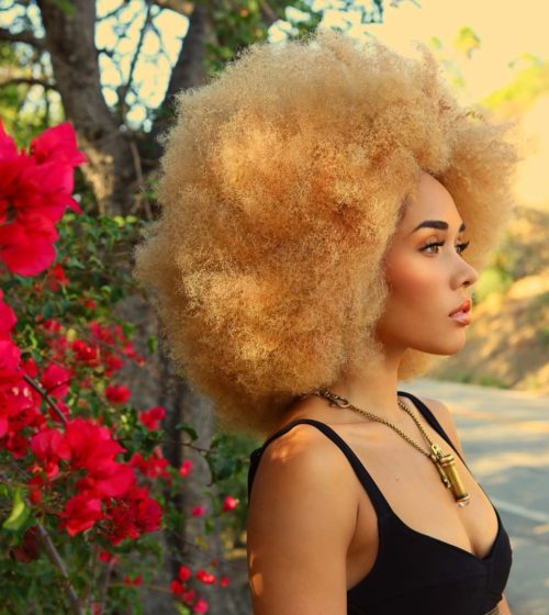 15 Awe-Inspiring Blonde Afro Hairstyles