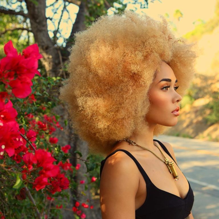 15 AweInspiring Blonde Afro Hairstyles